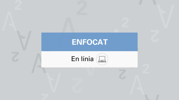 Impost sobre societats a la fundació: què has de saber