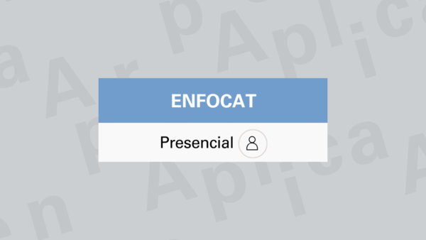 Planifica i elabora el pressupost anual de la fundació